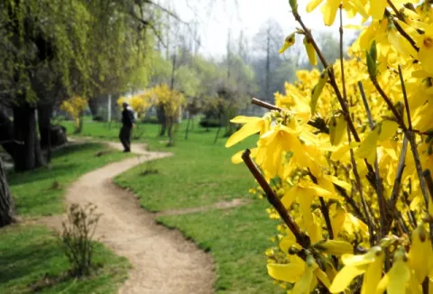 A eutanasia înseamnă a suprima o viaţă