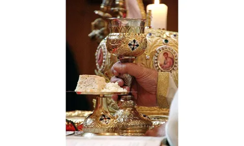 Însemnătatea împărtăşirii în rugăciunile Liturghiei Darurilor înainte sfinţite