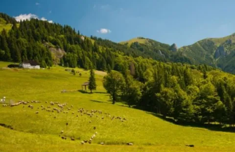 Restituirea proprietăţilor confiscate de regimul comunist