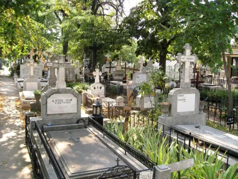 Din activităţile Sectorului Cimitire, monumente şi servicii funerare în anul 2013