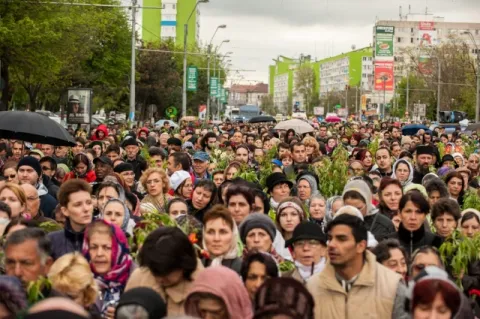 Semnificațiile ramurilor de salcie