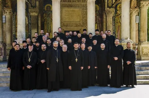 Aspecte canonico-juridice în activitatea preoților de caritate