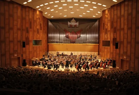 Concert în beneficiul copiilor cu autism