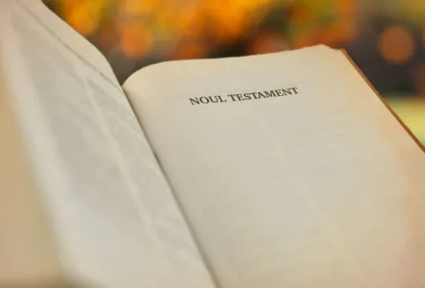 Patriarhia Română distribuie gratuit Noul Testament la peste 3000 de persoane vârstnice