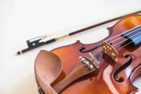 Festivalul Enescu online: edițiile anterioare, transmise cu sprijinul Trinitas TV și al Radiodifuziunii Române