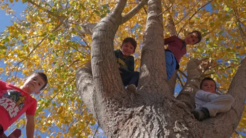 Patriarhul Daniel sprijină lunar așezământul de la Valea Plopului, iar Voluntarii CMN oferă constant alimente