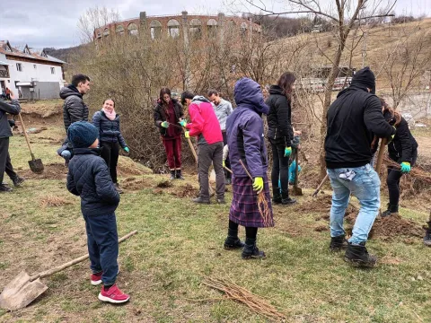 Valea Plopului: Filialele ASCOR Brașov și București au plantat sute de salcâmi și au ecologizat un pârâu