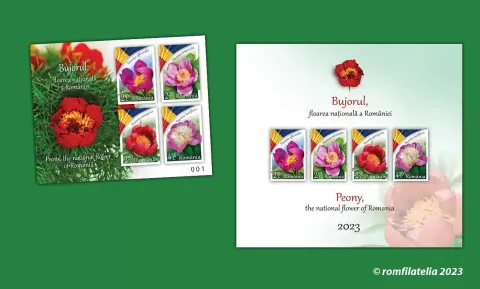 Romfilatelia a lansat marca poștală „Bujorul, floarea națională a României”