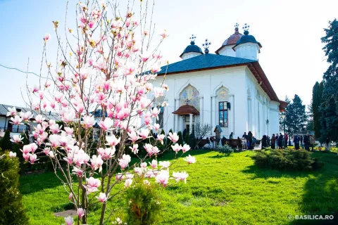 Moaștele Sf. Dimitrie cel Nou ajung pentru prima dată în istorie la Mănăstirea Cernica