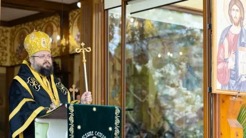 PS Paisie Sinaitul despre recunoștință și responsabilitate pentru Creație: Viața este dar de la Dumnezeu