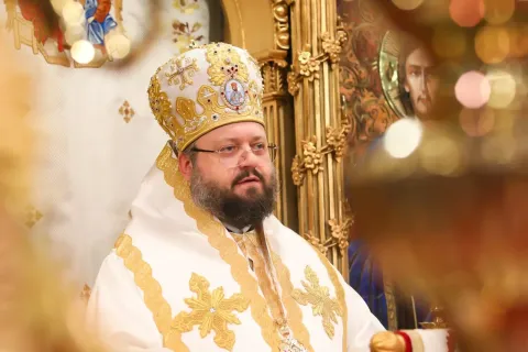 A simți că avem nevoie de vindecare e începutul credinței, spune PS Paisie Sinaitul