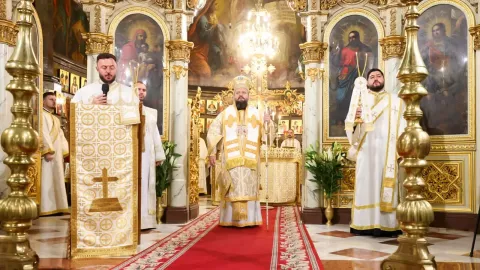 PS Paisie Sinaitul: În Toma este istoria fiecăruia dintre noi