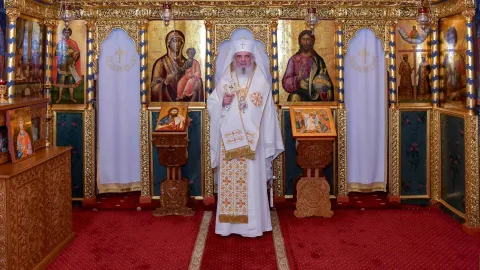 Patriarhul Daniel despre vindecarea orbului: Boala poate fi și un prilej de lucrare tainică a lui Dumnezeu în lume