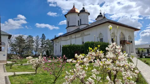 Mănăstirea Cernica invită credincioșii la prăznuirea Sf. Calinic și a mamei sale