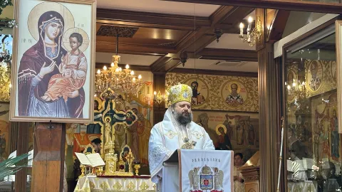 Hristos nu ne cheamă să iubim suferința în sine, ci să iubim pe Dumnezeu și pe aproapele, explică PS Paisie Sinaitul