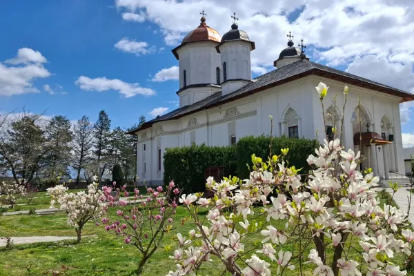 Mănăstirea Cernica invită credincioșii la prăznuirea Sf. Calinic și a mamei sale