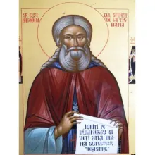 Sfântul Nicodim de la Tismana cinstit în Biserica Ortodoxă Română