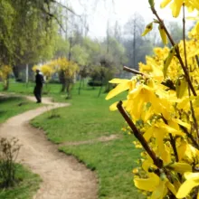 A eutanasia înseamnă a suprima o viaţă