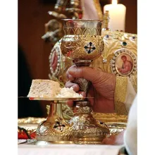 Însemnătatea împărtăşirii în rugăciunile Liturghiei Darurilor înainte sfinţite