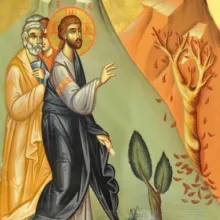 Sfânta şi Marea Luni