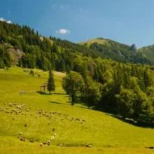 Restituirea proprietăţilor confiscate de regimul comunist