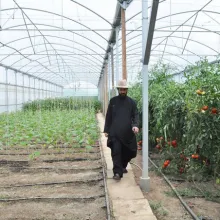 Roade bune ale pământului