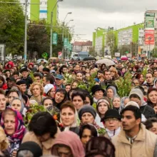 Semnificațiile ramurilor de salcie