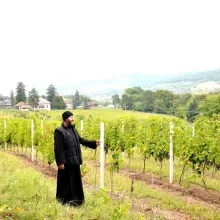 Timpul sacru al vinului la Mănăstirea Jercălăi