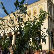 Patriarhul Daniel despre pelerinaj şi pelerini. 15 cuvinte duhovniceşti