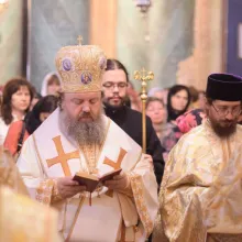 PS Timotei: Suntem cu adevărat liberi când ne lepădăm de păcate şi patimi