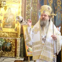 Dorul lui Zaheu este şi dorul nostru după Dumnezeu, spune PS Timotei Prahoveanul