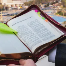 Gânduri la Evanghelia Duminicii Vameşului şi Fariseului