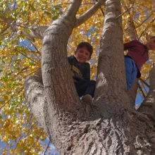 Patriarhul Daniel sprijină lunar așezământul de la Valea Plopului, iar Voluntarii CMN oferă constant alimente