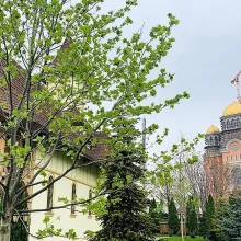 Doi ani de la sfințirea Catedralei Naționale | Moaștele Sf. Ecaterina sunt aduse spre închinare la Paraclisul CMN
