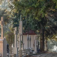 Mănăstirea Cernica are cel mai bine organizat cimitir din Arhiepiscopia Bucureștilor