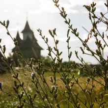 Proiect pilot: Eco-inițiative în parohiile din România și Republica Moldova