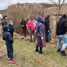 Valea Plopului: Filialele ASCOR Brașov și București au plantat sute de salcâmi și au ecologizat un pârâu