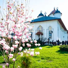 Moaștele Sf. Dimitrie cel Nou ajung pentru prima dată în istorie la Mănăstirea Cernica