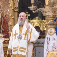 Să nu pierdem niciun moment de a arăta atenție și iubire față de omul aflat în suferință, spune PS Timotei Prahoveanul