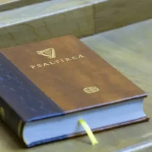 Psaltirea bilingvă editată de Mănăstirea Vatoped a fost prezentată la Palatul Patriarhiei