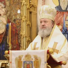 PS Timotei Prahoveanul, despre cei doi orbi din Evanghelie: O astfel de credință ne aduce și nouă împlinirea cererilor