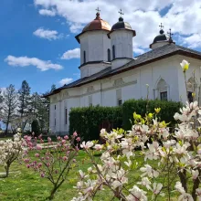 Mănăstirea Cernica invită credincioșii la prăznuirea Sf. Calinic și a mamei sale