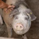 A treia zi de tabără la Mănăstirea „Sfântul Nicolae” – Sitaru