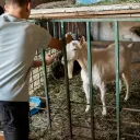 A treia zi de tabără la Mănăstirea „Sfântul Nicolae” – Sitaru