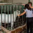 A treia zi de tabără la Mănăstirea „Sfântul Nicolae” – Sitaru